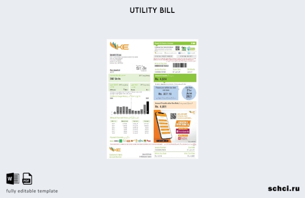 цифровая загрузка шаблона счета за коммунальные услуги Пакистан K electric Limit